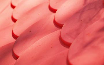 Clipiau plastic roof costs