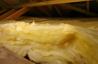 Clipiau pitch roof insulation